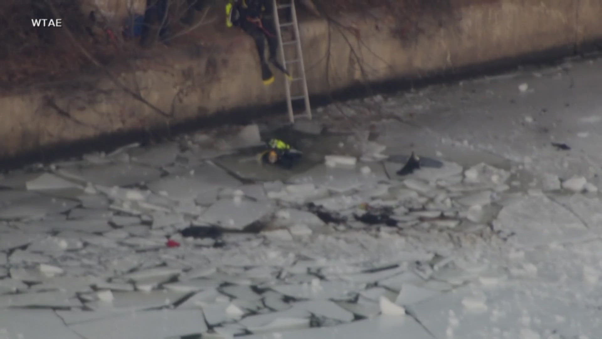 Icy river rescue after car plunges into freezing water