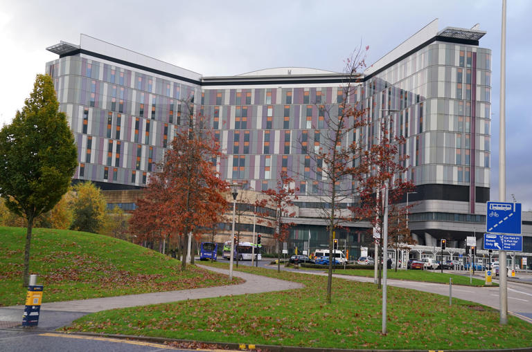 John Swinney 'fabricated' quote on pressure around QEUH opening, claims ...