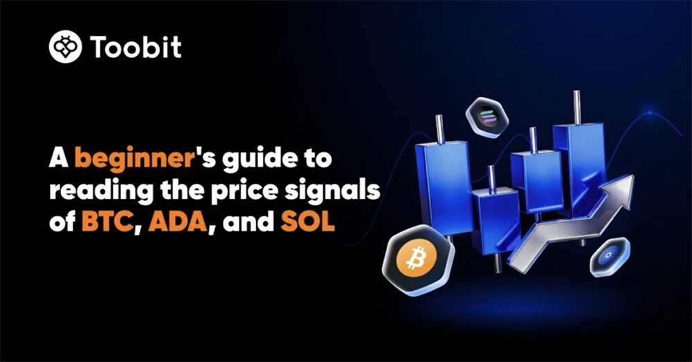 A beginner’s guide to reading the price signals of BTC, ADA, and SOL