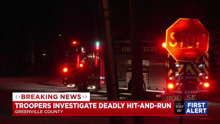 Hit and run: Coroner identifies pedestrian killed while lying in road ...