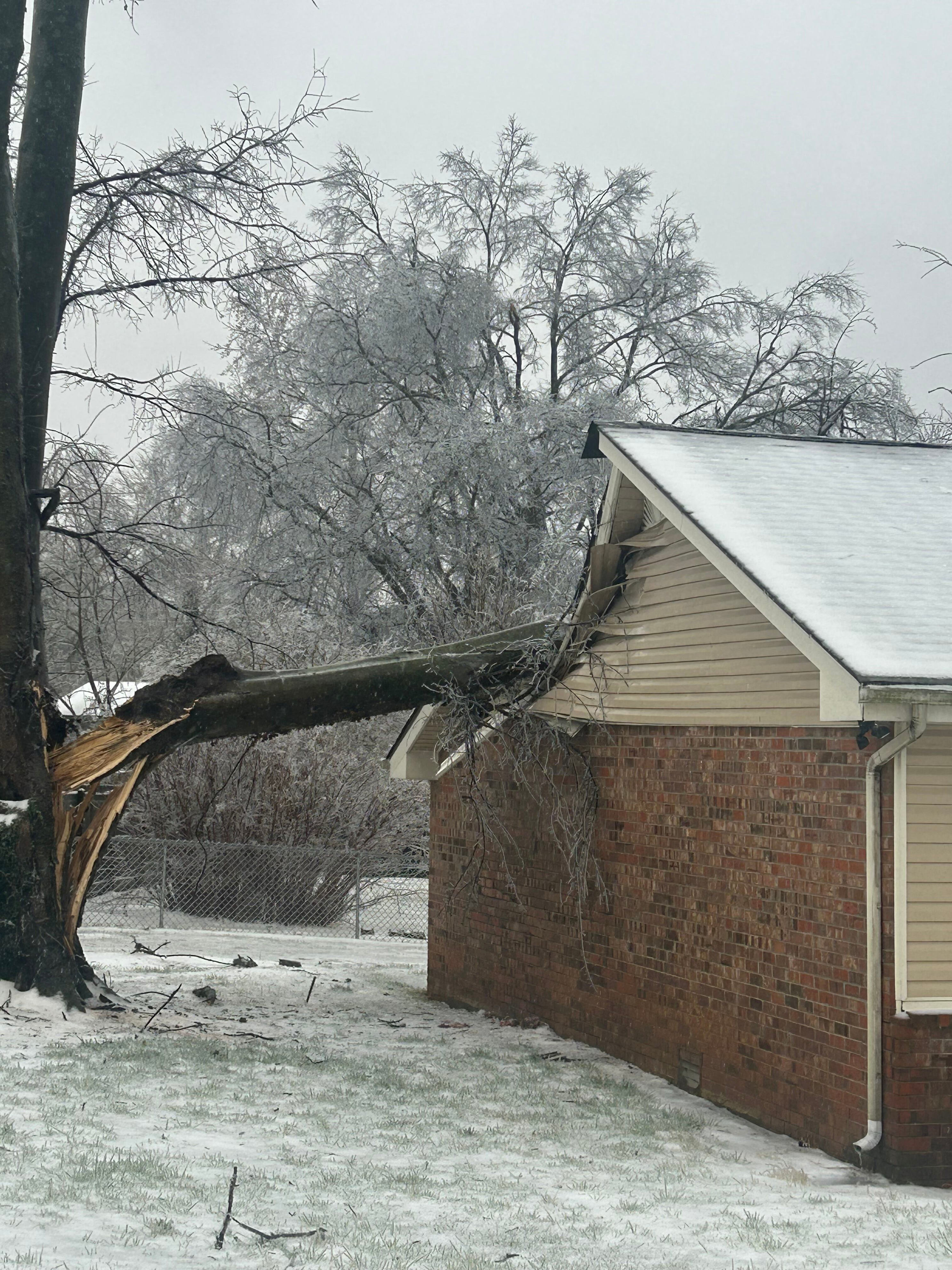 Falling trees and frozen pipes: Insurance agent explains what to know ...
