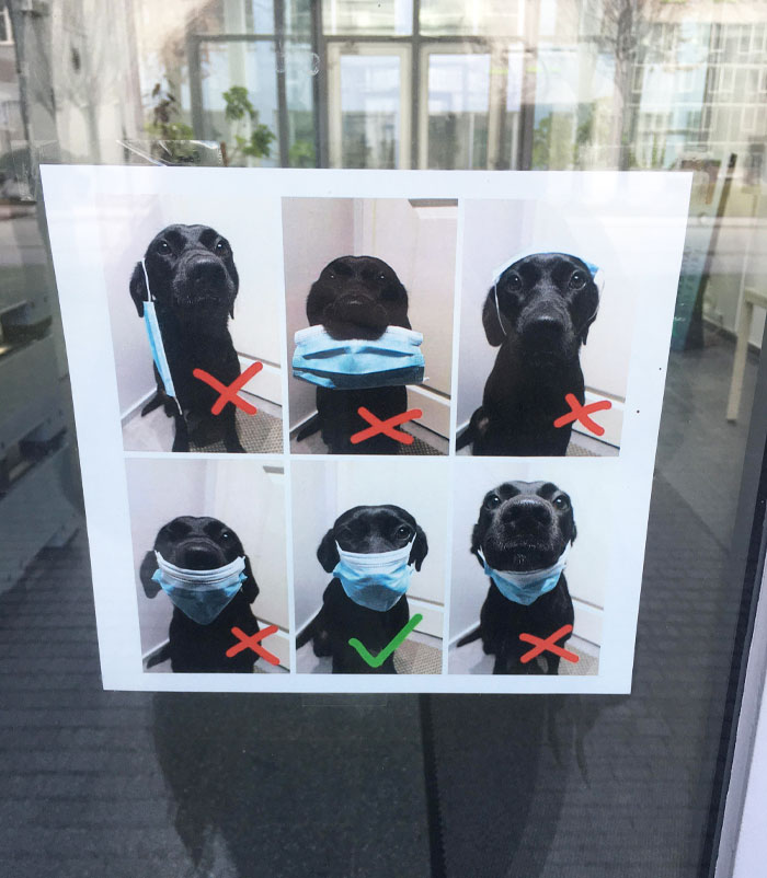 50 Ingenious Things Students Have Spotted At Their Schools And Universities (New Pics)