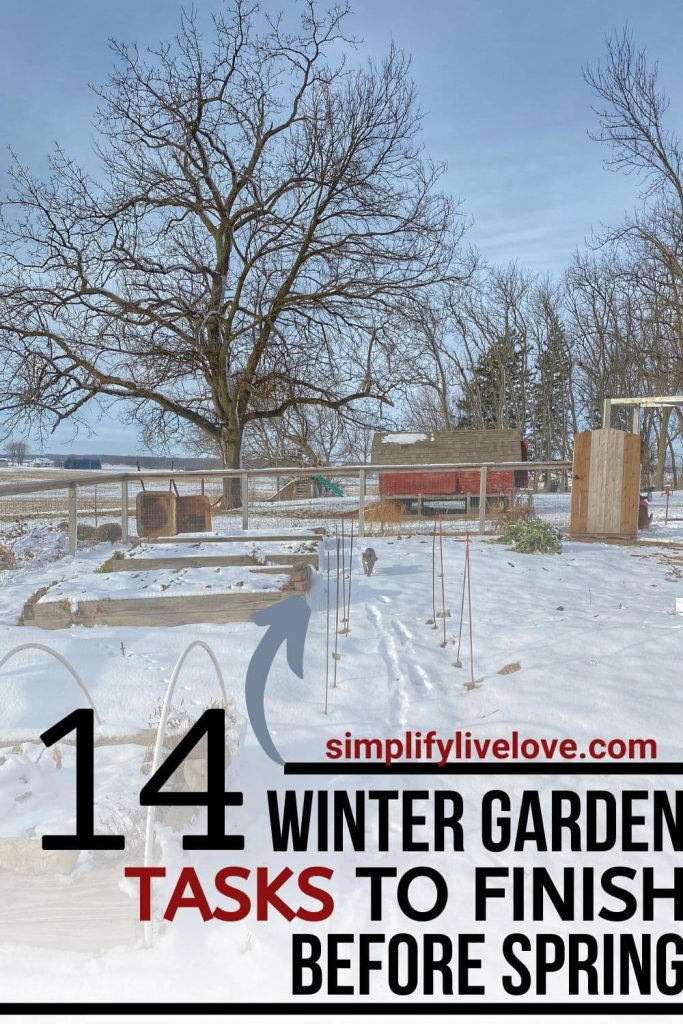 Winter garden tasks: What to do in the off-season