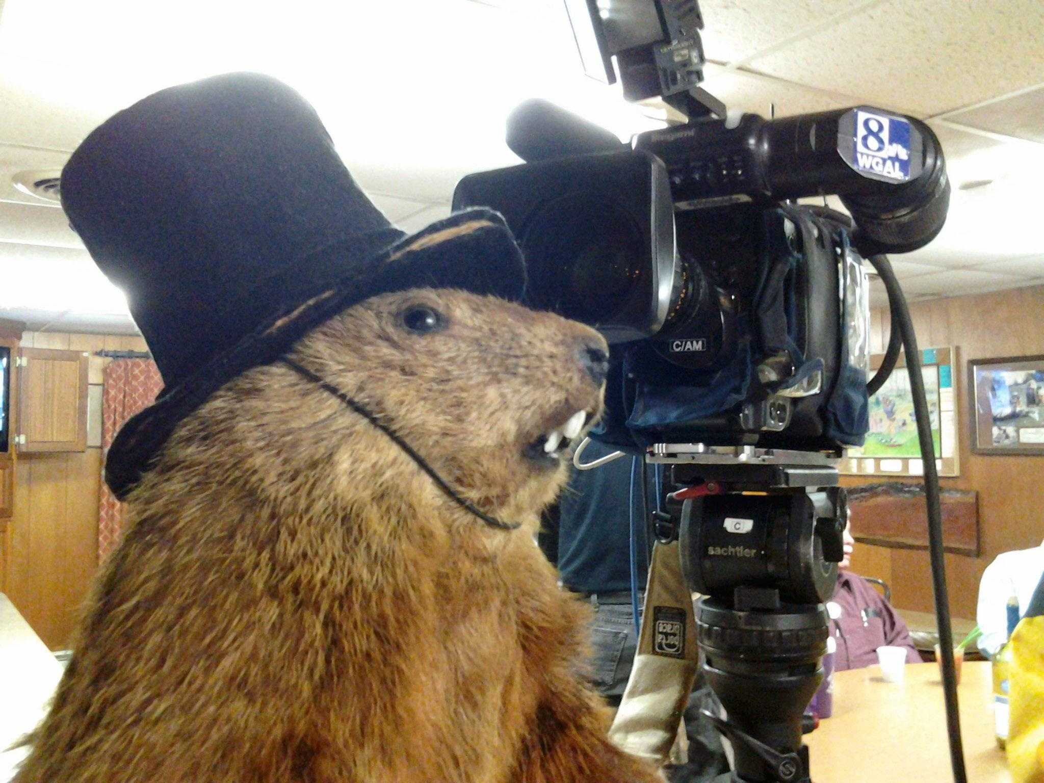 Groundhog roundup | Full list of local groundhogs’ hot takes on winter