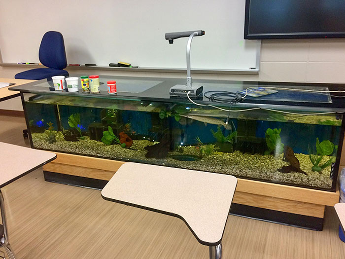 50 Ingenious Things Students Have Spotted At Their Schools And Universities (New Pics)