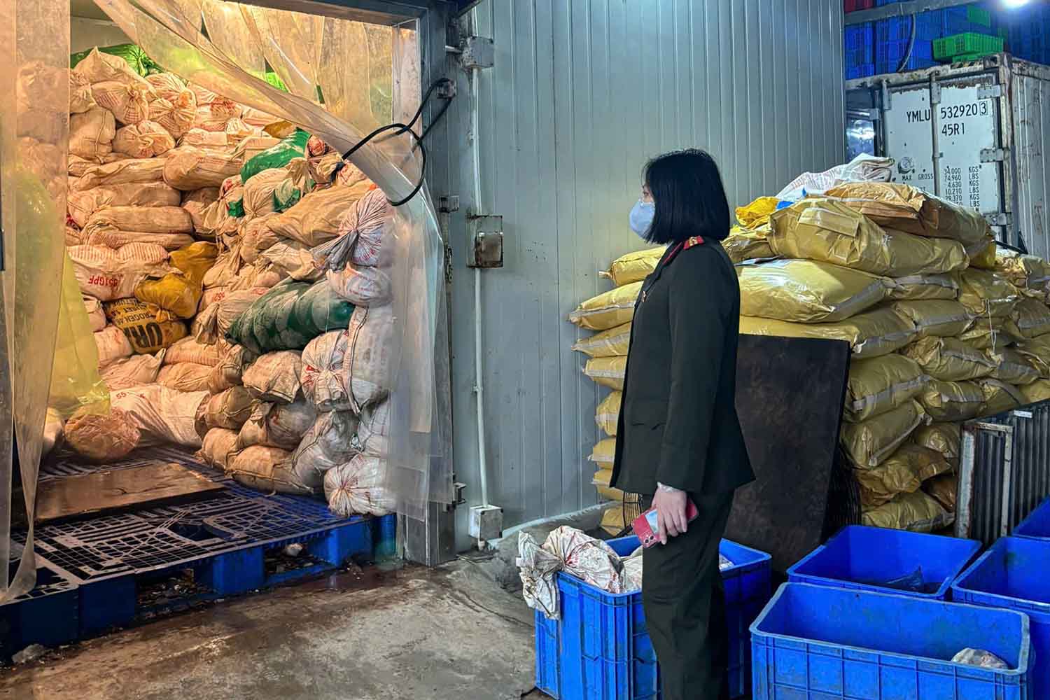 59 tấn lòng lợn không rõ nguồn gốc trong 3 container, cấp đông từ 4-6 tháng