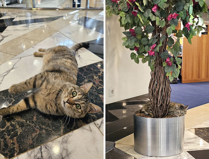 50 Ingenious Things Students Have Spotted At Their Schools And Universities (New Pics)