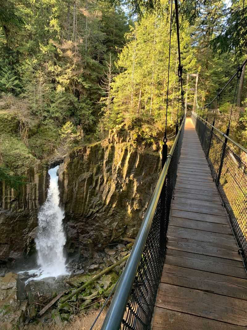 This hidden Oregon trail takes you on a walk that’s basically a forest ...