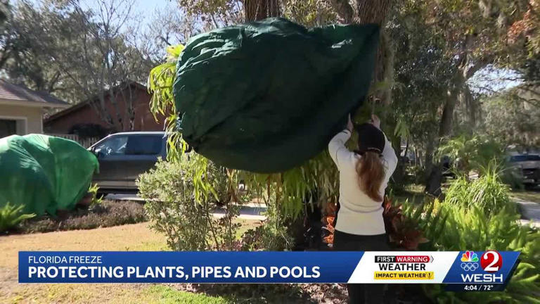 Central Florida's extreme cold: Prep your home, pipes and pool