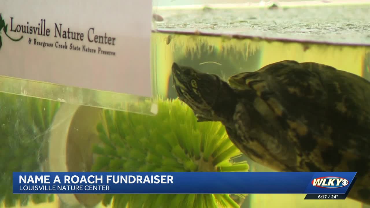 Louisville Nature Center will let you name a roach after your ex for ...