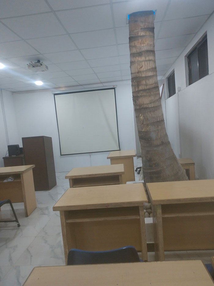 50 Ingenious Things Students Have Spotted At Their Schools And Universities (New Pics)