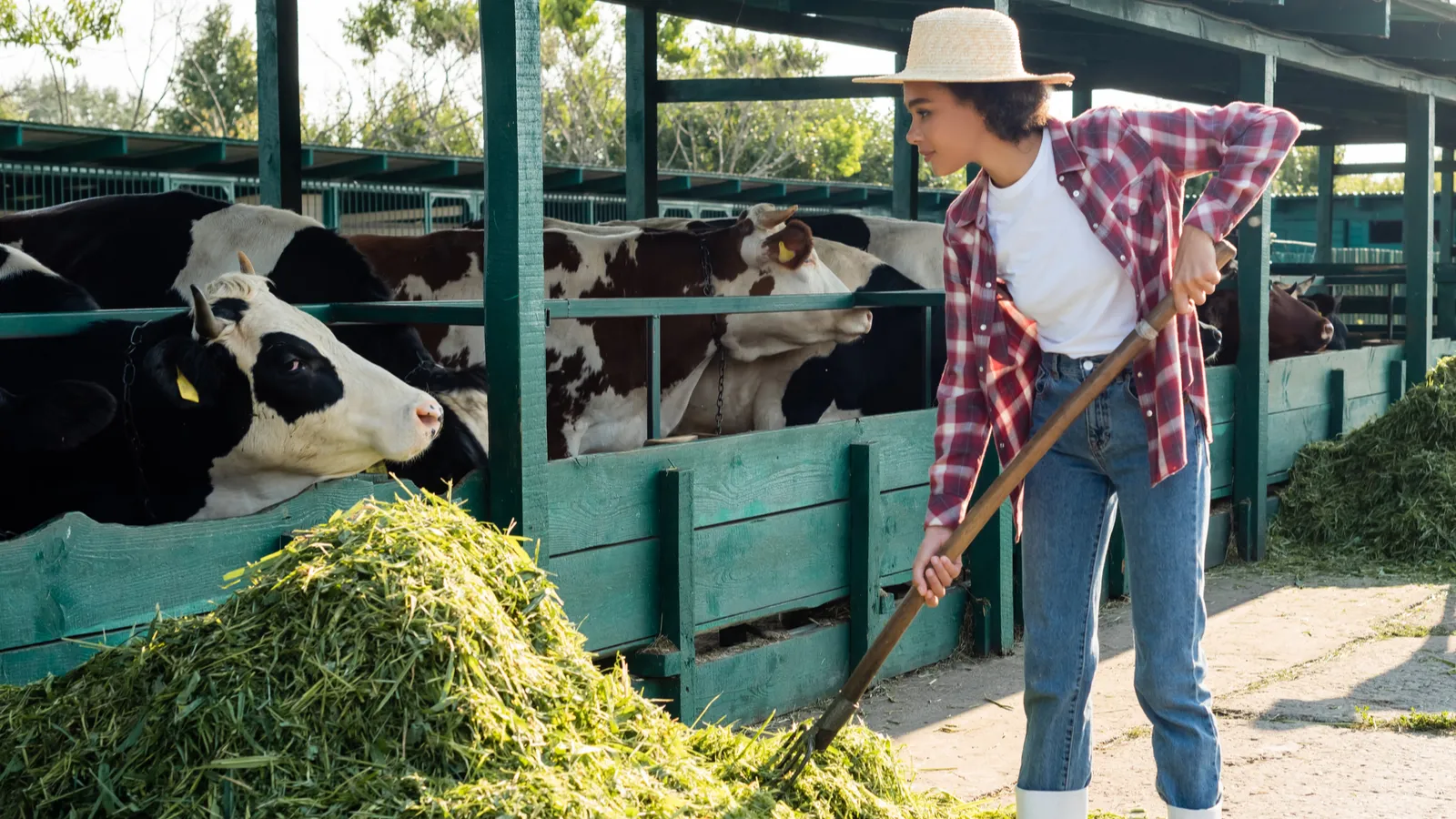 Higher beef costs ripple through Texas as producers and eateries struggle