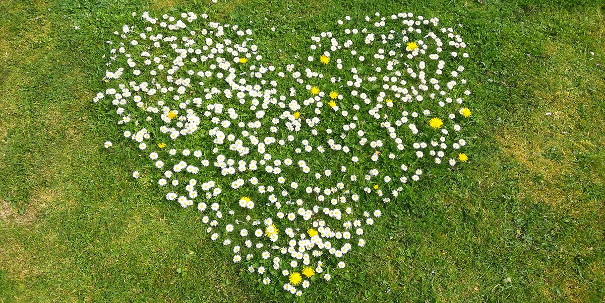 You can feel better in minutes—starting with these simple self-care habits<br>