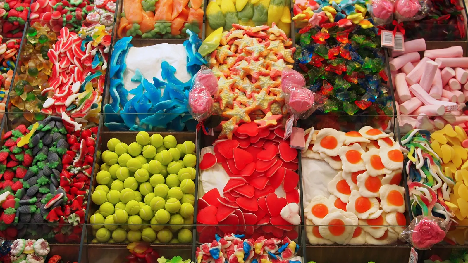 This Arizona tour is perfect for chocolate and candy lovers