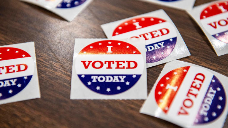 Everything you need to know for early voting in the 2026 Texas primary ...