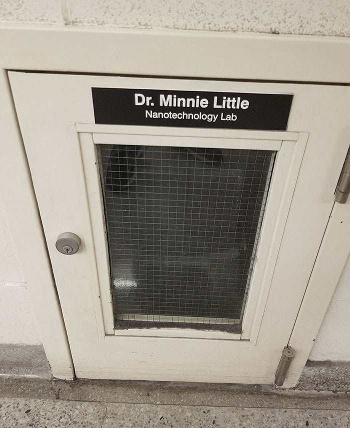 50 Ingenious Things Students Have Spotted At Their Schools And Universities (New Pics)