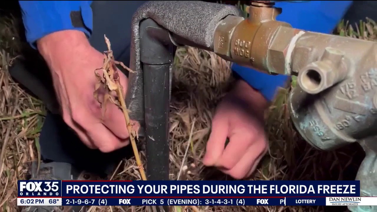 Prep tips to protect pipes, plants and pools ahead of Florida freeze