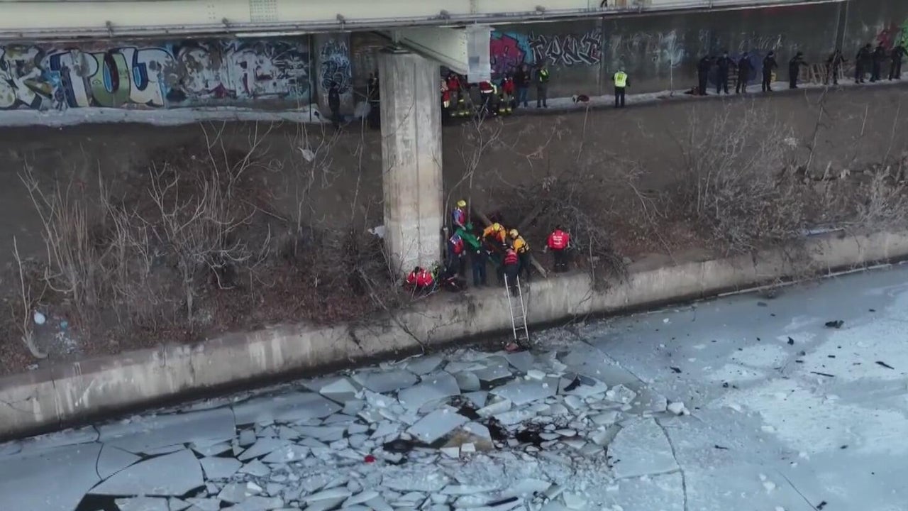 Diver details rescue operation after vehicle goes off highway into river