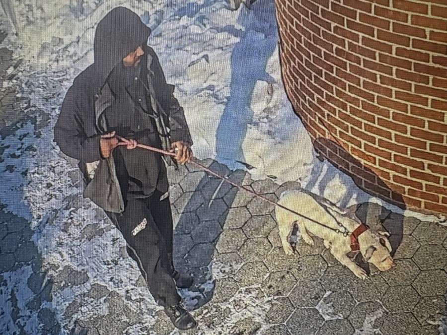 New Haven Animal Shelter looking for man who allegedly abandoned dog