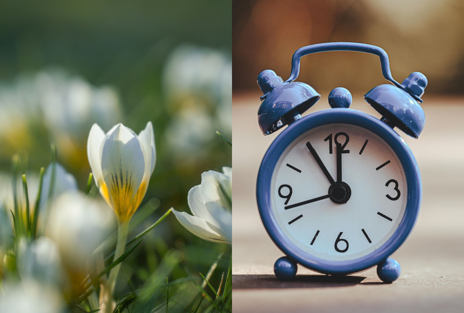 UK weather: The exact date winter ends and when the clocks will go forward