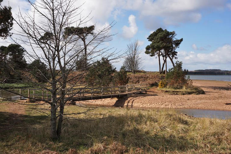 Scotland’s sunniest winter walks including coastal routes and historic ...