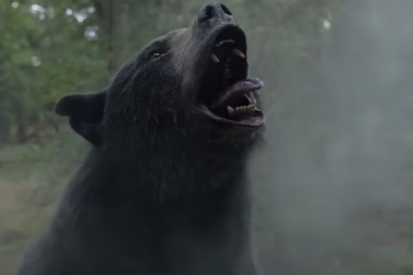 Terrifying true story of 'Pablo Esco-bear' the 200lb beast which ...