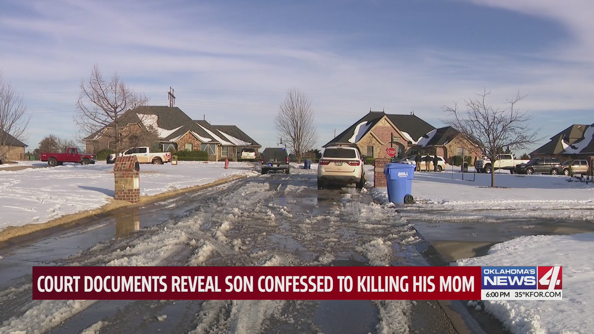Court documents reveal son confessed to killing his mom