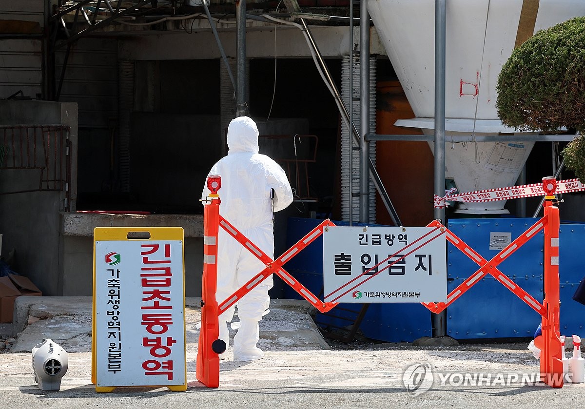 (LEAD) First FMD case in 9 months confirmed in Incheon<br><br>