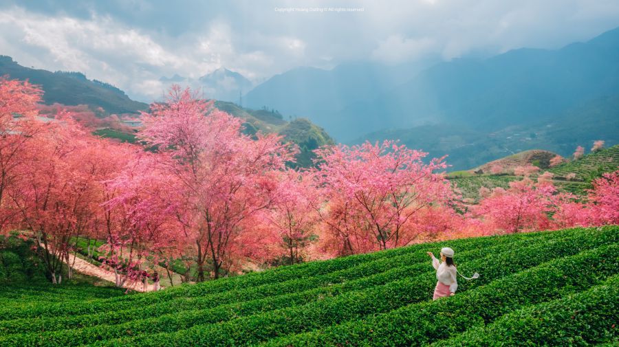 Du lịch nội địa lên ngôi trong kỳ nghỉ Tết Nguyên đán 2026
