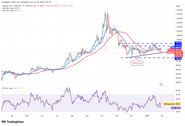 an-lise-de-pre-os-em-30-01-btc-eth-bnb-xrp-sol-doge-ada-bch