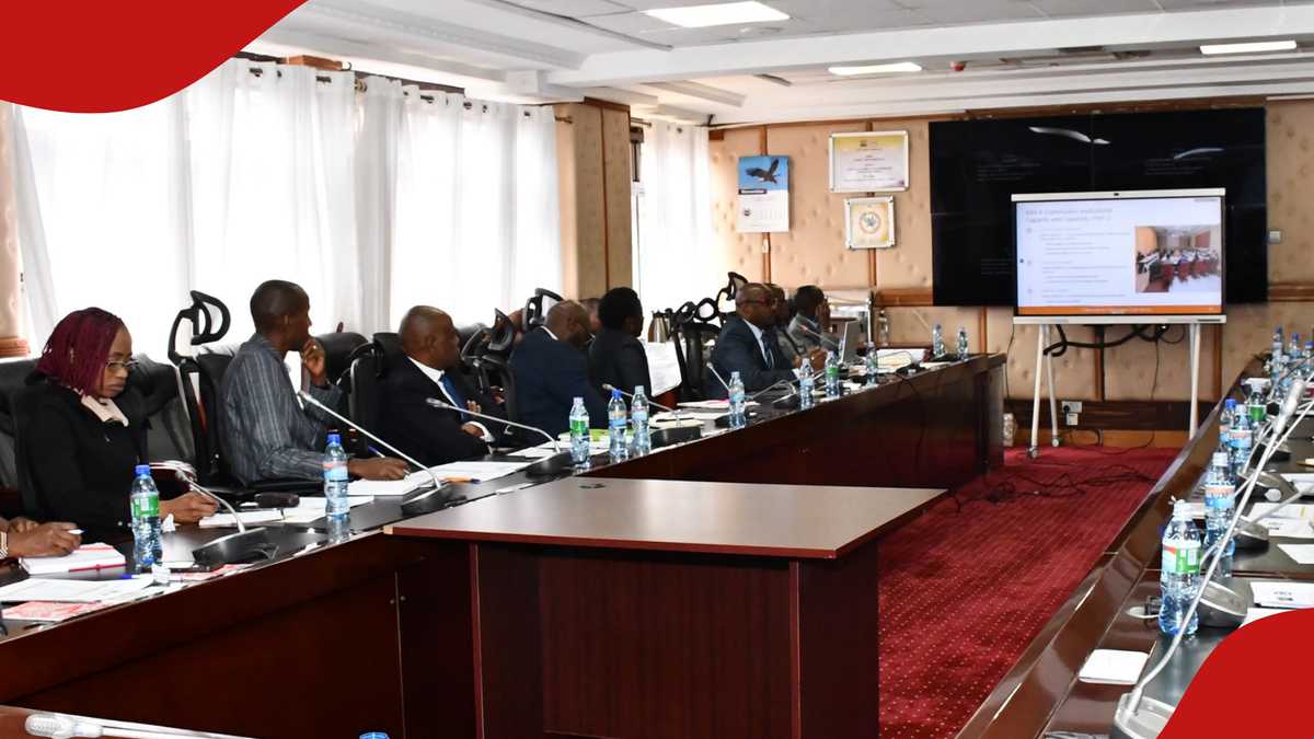 Comesa announces jobs for Kenyans and other Africans, explains ...