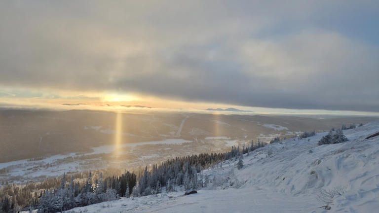 Winters landschap in Duved, Zweden. Foto: Jelmer Nas