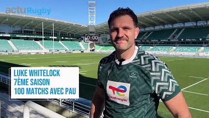 « J'ai 35 ans, mais le corps va bien » : Luke Whitelock n’a pas encore ...