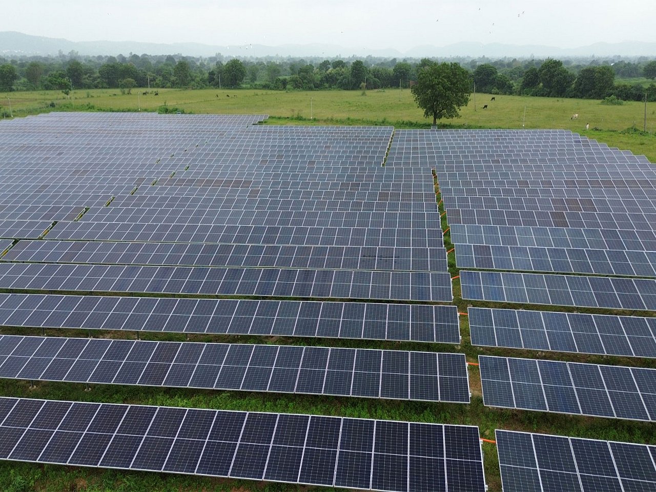 Gujarat emerges as India’s rooftop solar leader with 6,412.80 MW capacity