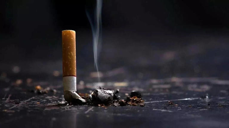 cigarette excise duty MSN