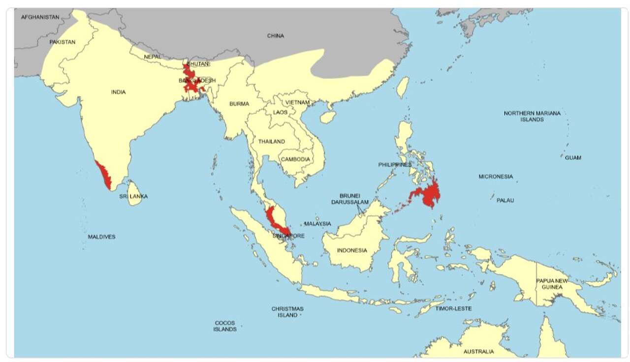 Should you be worried about the Nipah virus in Austin? What experts say<br><br>