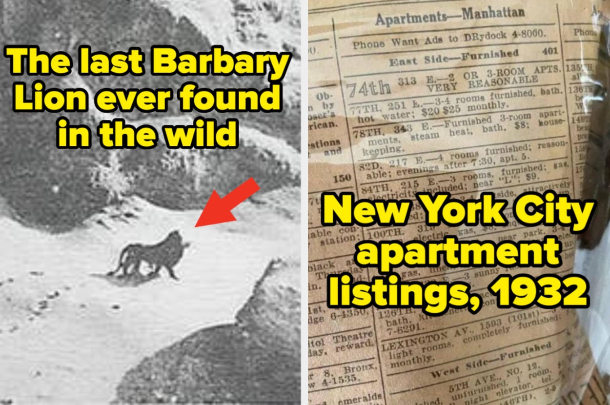 77 absolutely jawdropping pictures from history that will make you