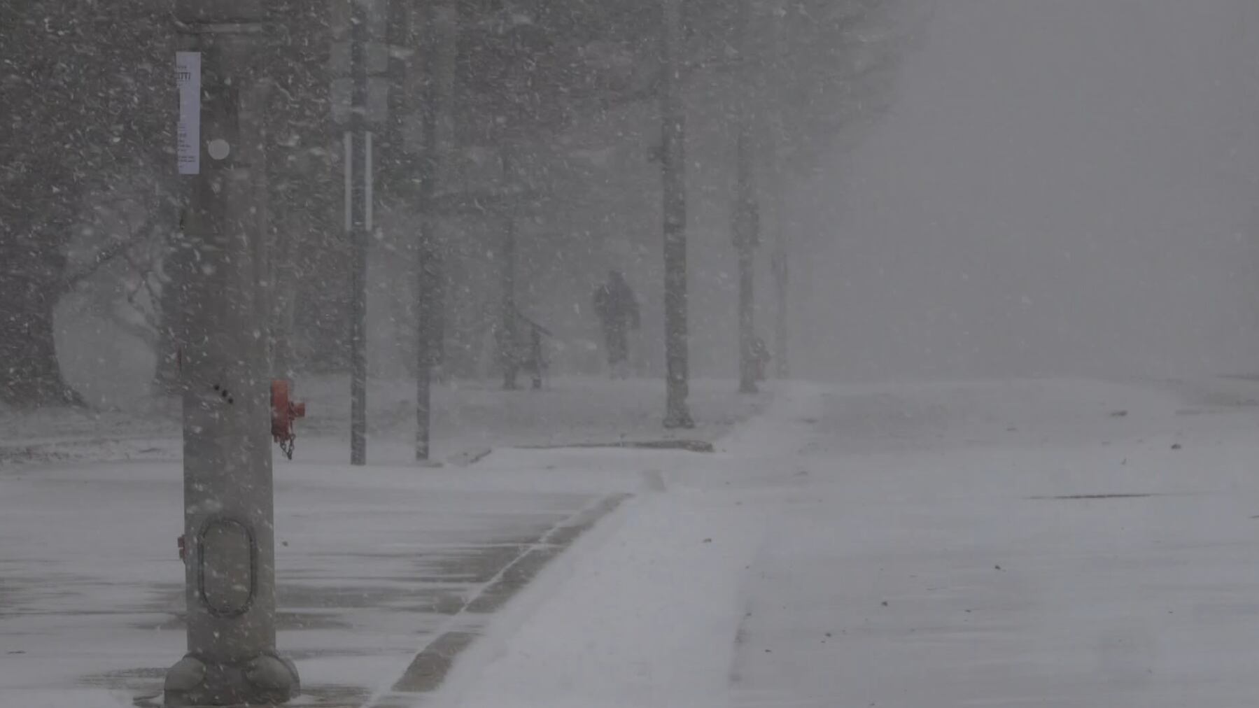 Students and residents enjoy rare snowfall in Greenville