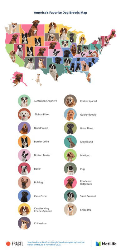 Discover the most popular dog and cat breeds by state in 2026 ...