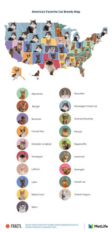 discover-the-most-popular-dog-and-cat-breeds-by-state-in-2026