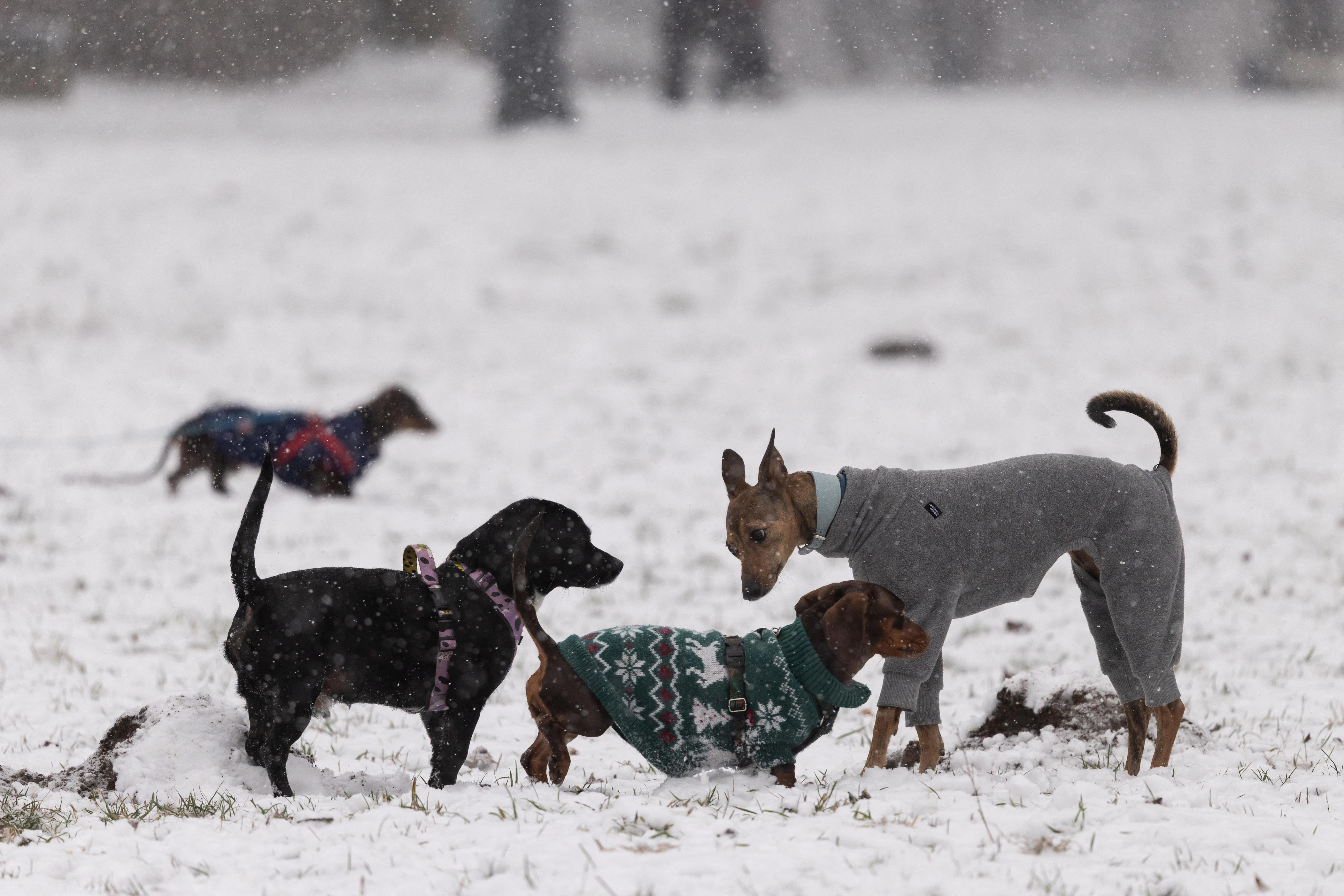 10 states with the most snow in 2026