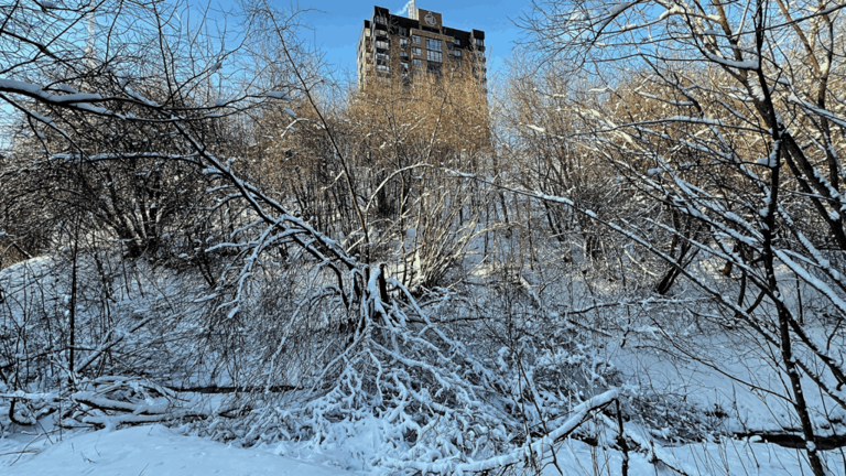 A monster winter storm slams 230 million Americans as 'exploding trees ...