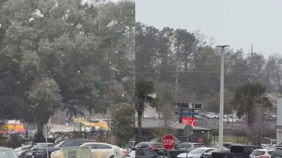 Snow showers seen in North Florida this afternoon