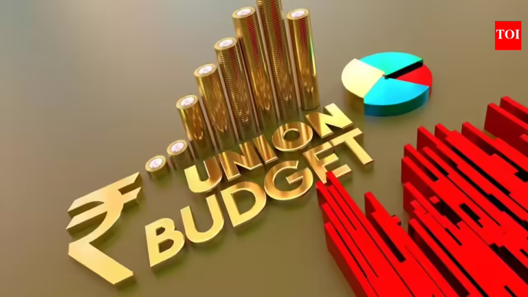 Budget 2026 glossary explained: From deficit to disinvestment, key ...
