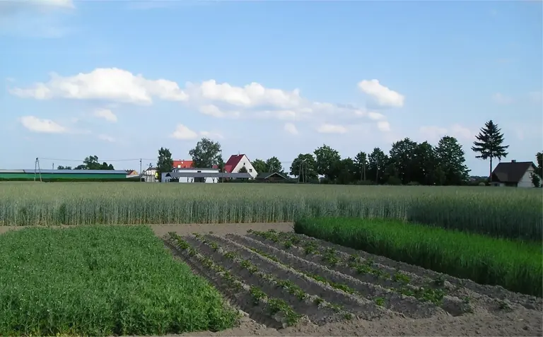 How one overlooked farming practice is quietly restoring depleted land