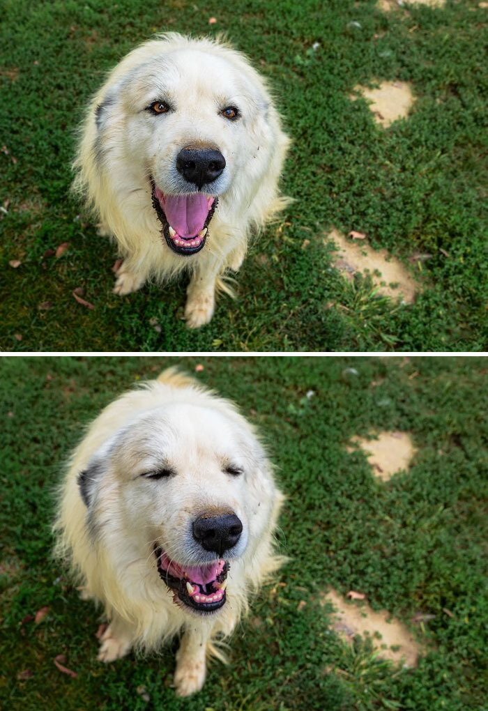 46 Of The Most Interesting Comparison Pics That Might Give You A Fresh New Perspective On Things
