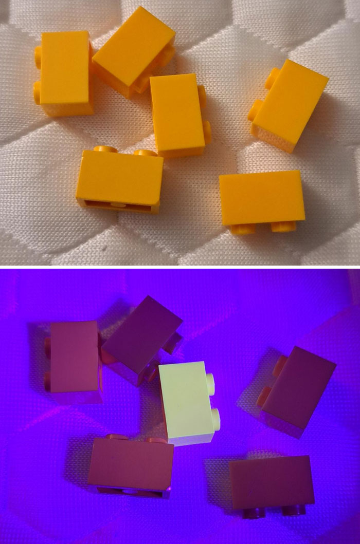 46 Of The Most Interesting Comparison Pics That Might Give You A Fresh New Perspective On Things