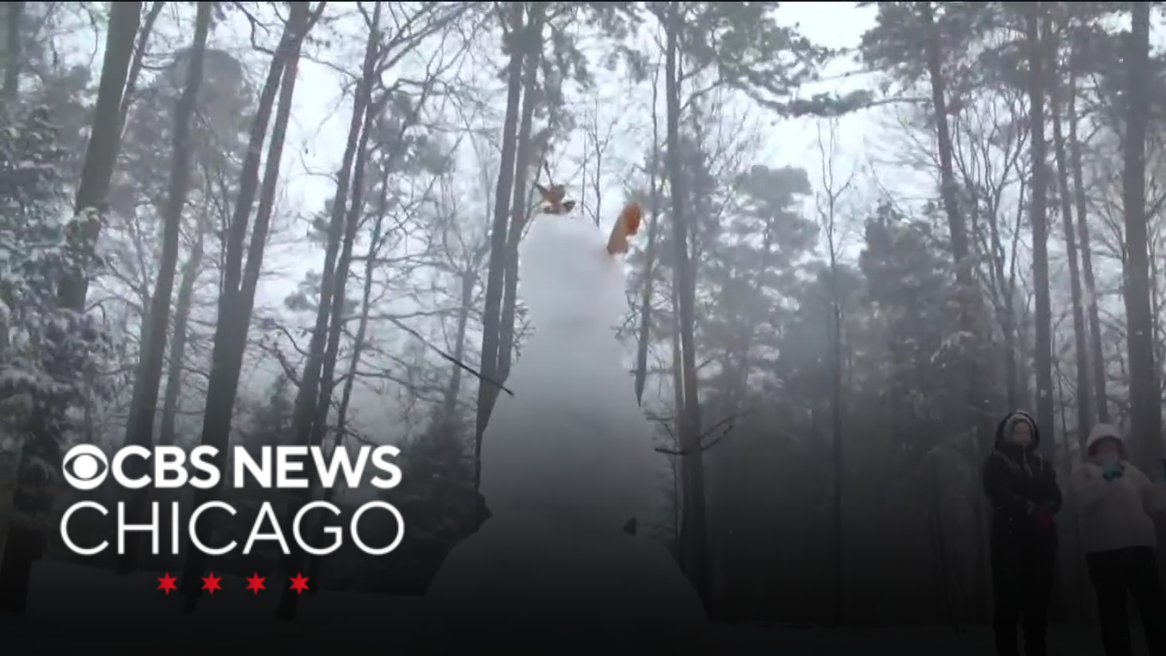 Winter storm warnings, cold weather advisories issued across country