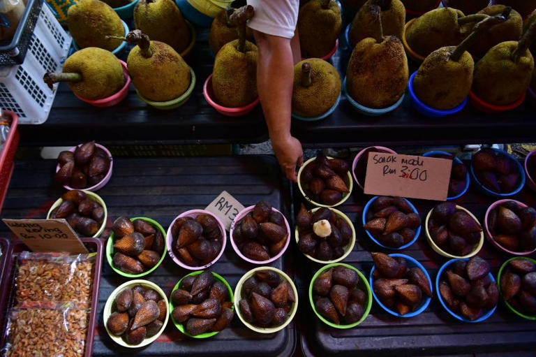 Pekan Lachau comes alive as a must-stop fruit haven along Pan Borneo ...