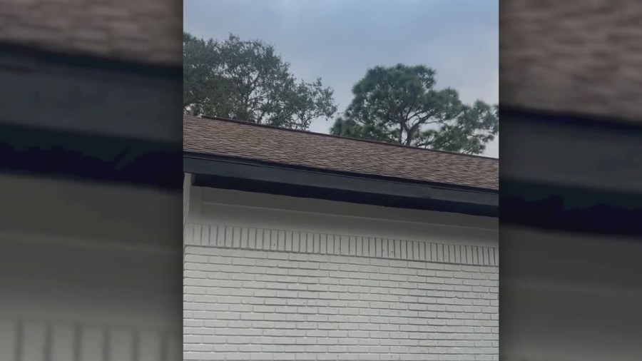 Snow in Florida: Send photos, video of winter weather!